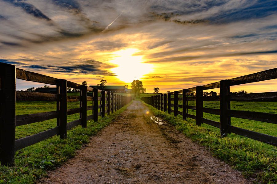About Our Agency - Kentucky Horse Farm with a Fence Leading into the Farm with a Sunset